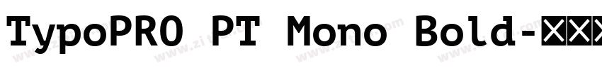TypoPRO PT Mono Bold字体转换